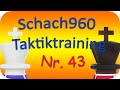 Schach960 Taktiktraining (43)