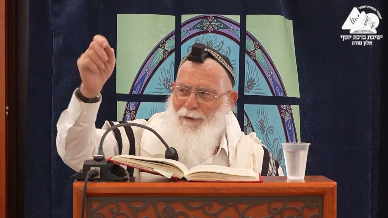 שיהיה הסכך תחת השמים | הלכות סוכה | הרב אליקים לבנון | 2