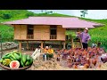 Full video 2 years of building a new life | Build a spacious wooden house, raise 300 more chickens