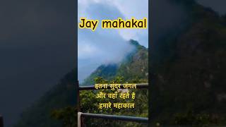 Panchmarhi Jungle in Monsoon 🌧️ | Satpura Forest Cinematic Views | Madhya Pradesh Travel