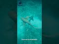 AI Cinematic Editing #AIVideoEditing #AIEditing #AIMagic #EditedByAI #CinematicEdits #AIShorts