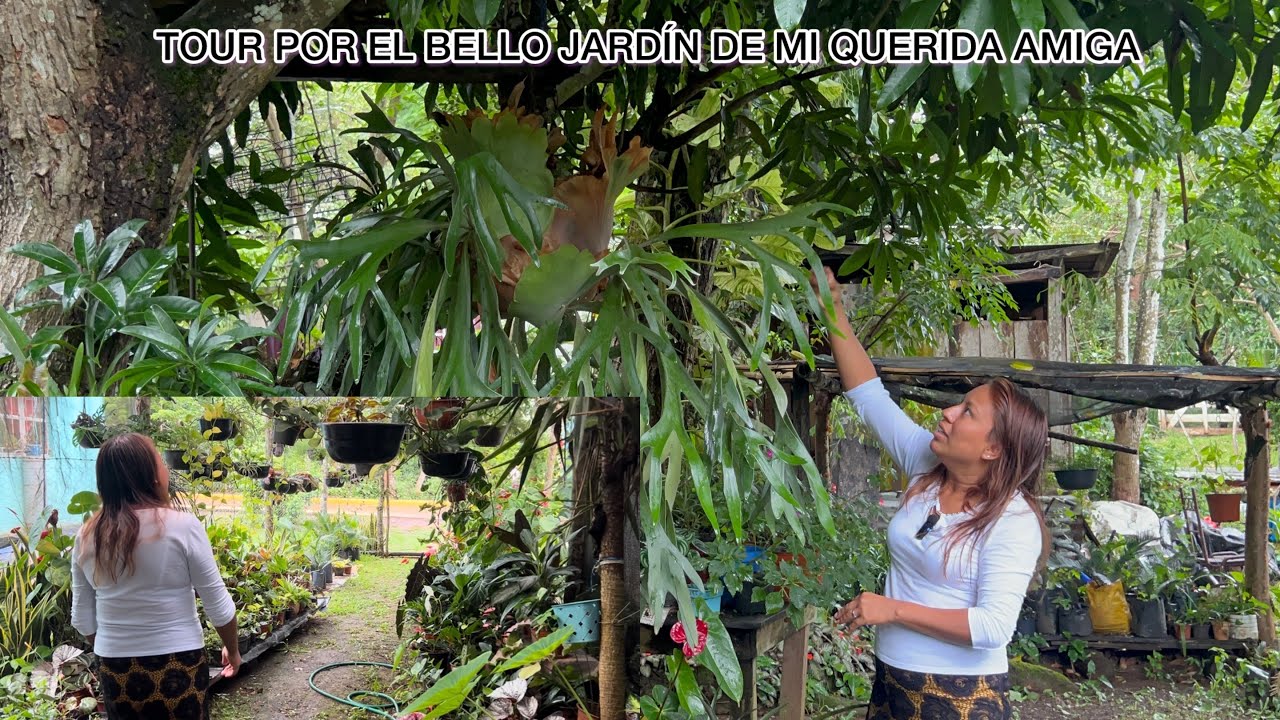 Tour por el jardín de mi amiga, 2da parte . En Catemaco Veracruz 😍