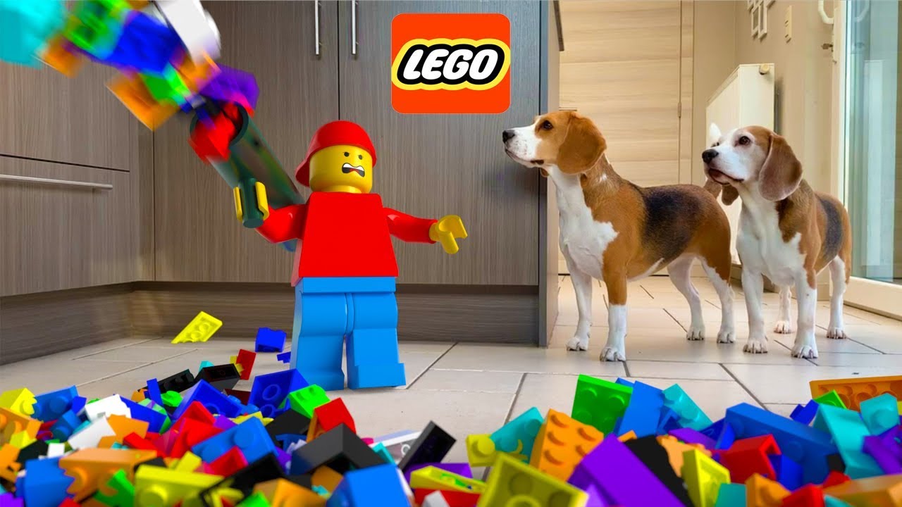 Dogs vs LEGO Guy in REAL LIFE Animation!