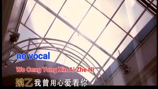 我曾用心爱着你 Wo Ceng Yong Xin Ai Zhe Ni 伴奏 karaoke 姚乙 Yao Yi