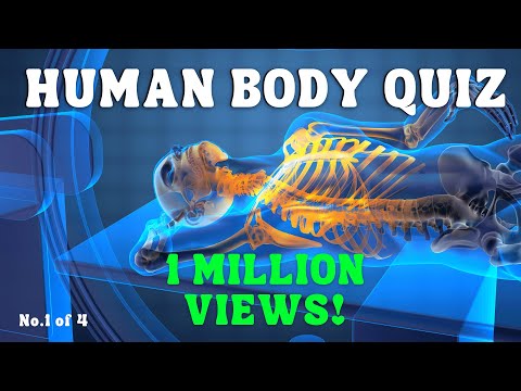 The BEST Human Body Quiz  | 40 Interesting Questions with Answers | General knowledge Trivia