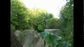 Sick BMX Trails and Dirt Jumps || Damo Summer Edit.