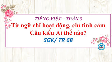 TUẦN 8   Từ chỉ hoạt động, chỉ tình cảm  Câu kể Ai thế nào
