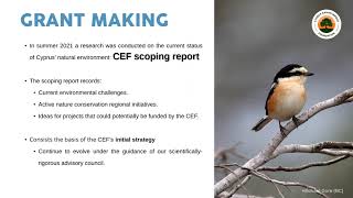 Cyprus Environment Foundation Launch Webinar