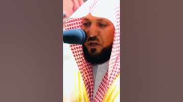 سورة الزمر || القارئ ماهر المعيقلي