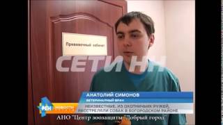 Расстрел двух собак Нижнем Новгороде Расстрел двух собак Нижнем Новгороде