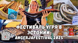 Гордость Эстонии:Фестиваль угря 2025 на озере Выртсъярв.Võrtsjärve Angerjafestival.Цены и обзор
