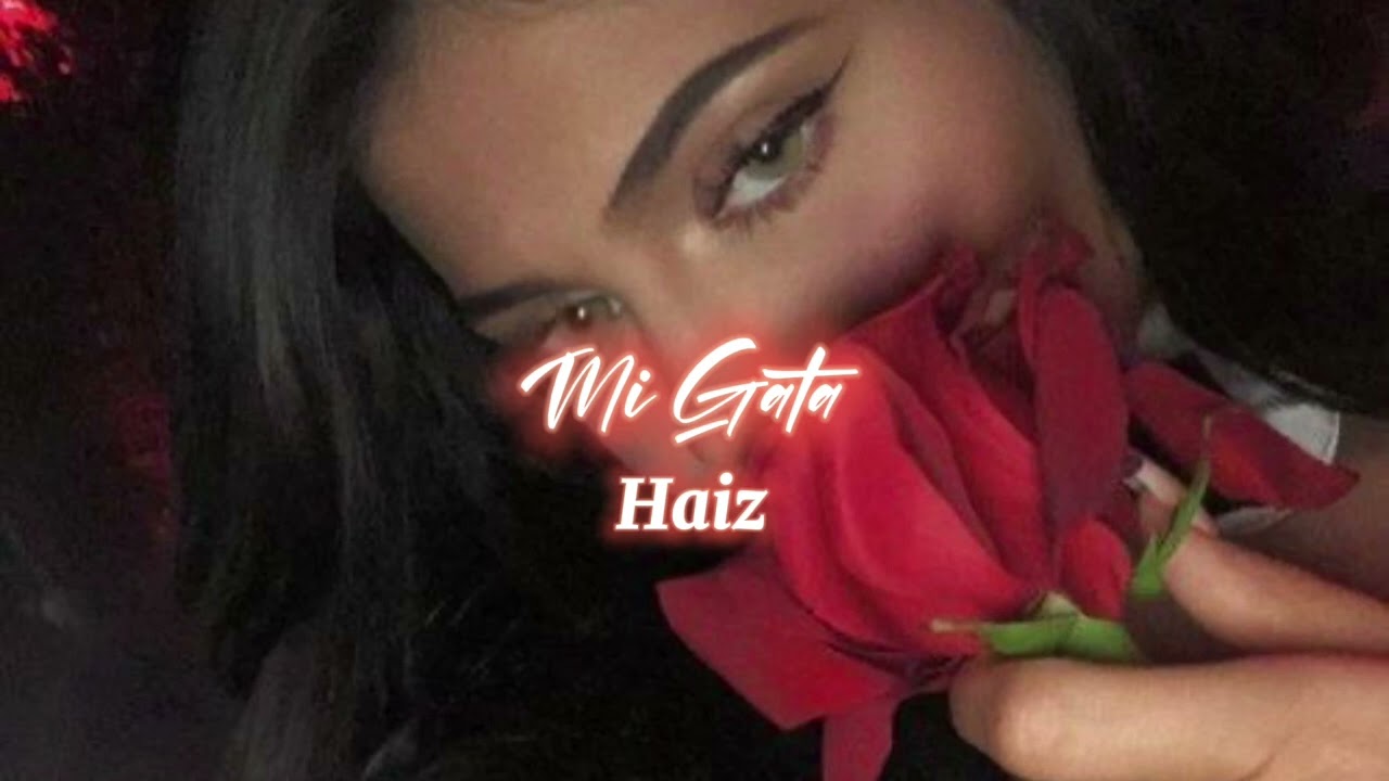 Standly ft El Barto - Mi Gata (slowed + reverb)