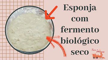 Como fazer a massa crescer rápido com o fermento biológico seco?