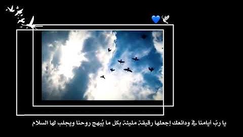 تلاوة قصيرة خاشعة عبد الرحمن مسعد ستوريات انستا قران قران كريم ستوري قران حزين تلاوة انستا قران