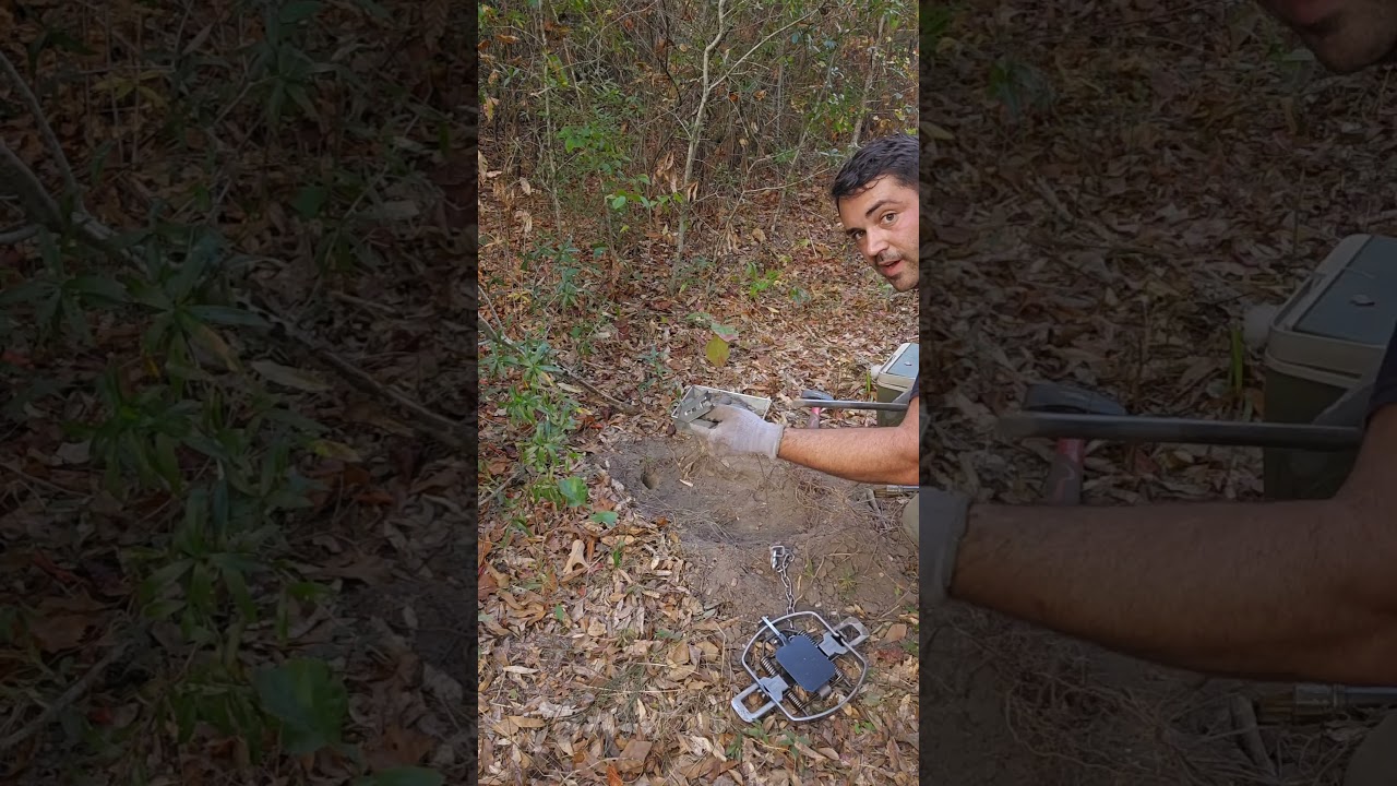 Quick tutorial of a Dirt hole / step down set foot trap for 