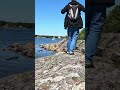 Segelsommertörn 2024 - Tag24 - ein Tag in den Schären #reisen #sailing #segeln #sailboat