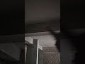 কোন সমস্যা হবে? #home
