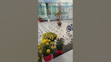 Về Ngoại cúng rước ông bà ngày 30 Tết 🥰