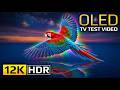 Most Breathtaking 16K Ultra HD Nature – Ultimate OLED TV Test &amp; Relaxing Music (HDR Dolby Vision)