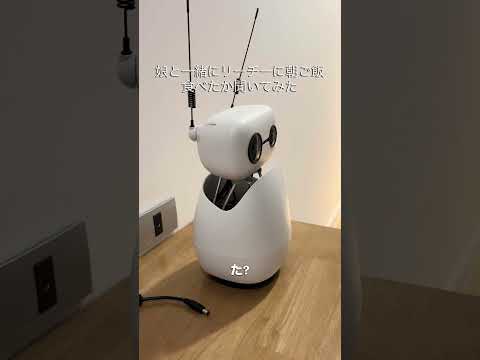 AIロボットに朝ごはん食べたか聞いてみた【Reachy Mini 開発日記 #8】#gpt #ai #openai #huggingface #Reachymini