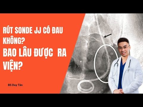 Video: CI và đường ống dẫn CD là gì?