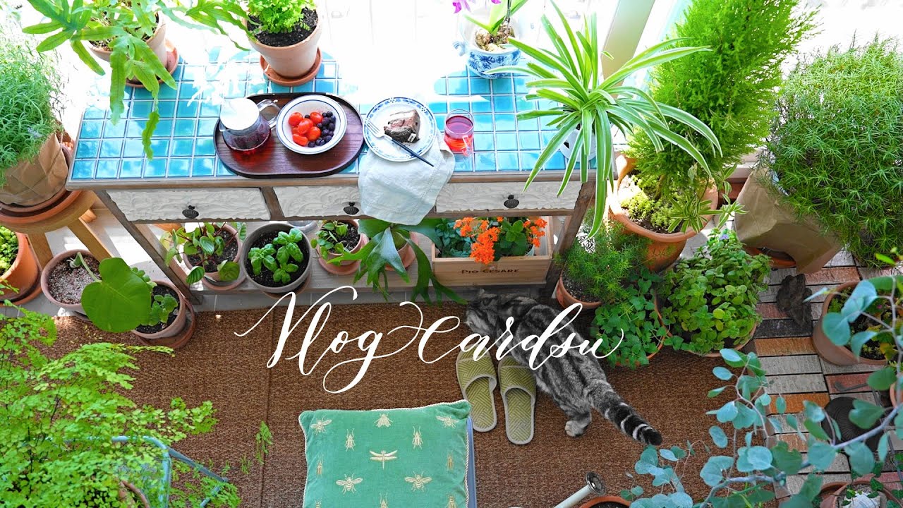 Мой сад на балконе, где я хочу остаться/Делаю стол, выложенный плиткой/Готовлю блины с креветками.