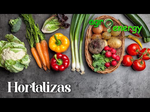 Video: Condiciones de cultivo de hortalizas