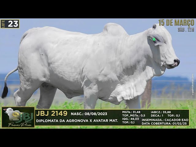 LOTE 23   JBJ 2149