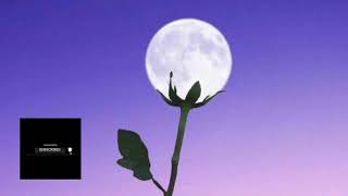 Download Lagu Lirik Rapuh by opick... baru sambil manghayati😔😔sedih😭 MP3