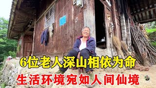 Chongqing mountain cliff  6 old man beekeeping farming dependent on each other  the environment is