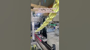 ZONESUN Automatic Servo Motor Bottle Capping Machine With Cap Elevator #capper #cappingmachine