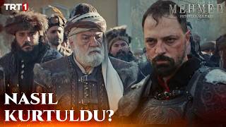 Evrenosoğlu Ali Bey Nasıl Kurtuldu? - Mehmed: Fetihler Sultanı 78. 