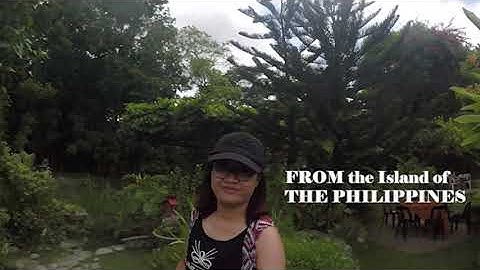 RE-LIVE. The Beginning.