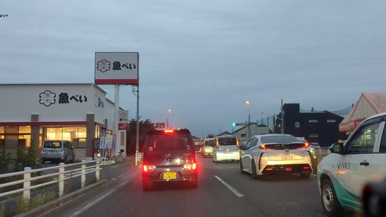 Car drive camera Japan 国道16号 埼玉県上尾市→春日部市 #automobile #車窓 #車載カメラ #車載動画 