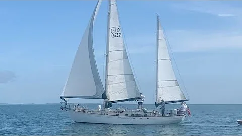 Wotama in the Deanbilla Pursuit 2022