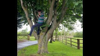 Mountain Goat David Tennant (David tries to climb a tree :))