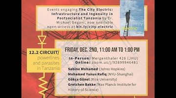 "The City Electric" Book Panel