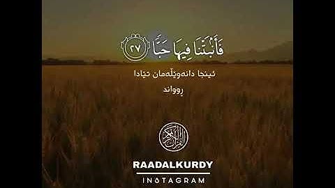 ما تيسر من سورة عبس / القارئ رعد محمد الكردي