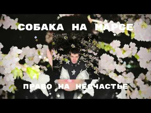 ПРЕМЬЕРА Собака на Марсе право на несчастье