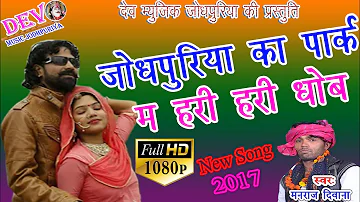 जोधपुरिया का पार्क म हरी हरी धोब ll Manraj Diwana New ll Super Hit Marwadi Song ll Dev Music Present