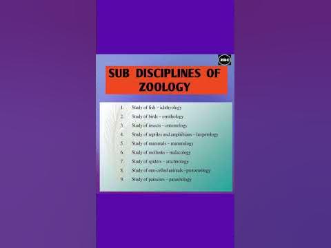 Sub Disciplines of Zoology | Meaning & Definition of Zoology| B.Sc/ M