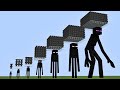 which enderman will survive?