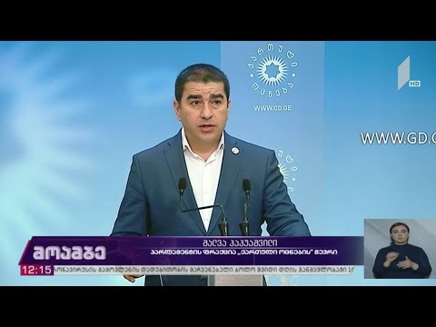 ბრიფინგი „ქართული ოცნების“ ოფისში