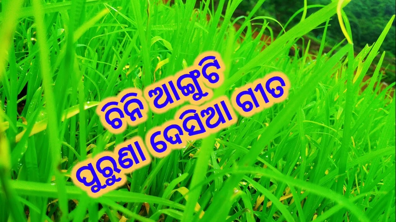 chini anguti old koraputia song