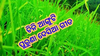 chini anguti old koraputia song screenshot 4