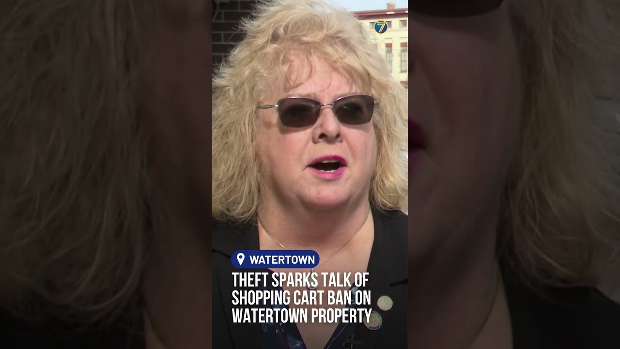 Theft sparks talk of shopping cart ban on Watertown property