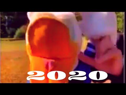 tiktok-funny-donald-duck-memes-try-not-to-laugh-2020