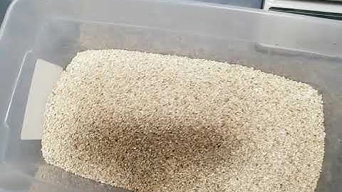 HOW TO SET UP EGG BOXES | INCUBATING BALL PYTHON EGGS | GUIDE TO SUCCESS