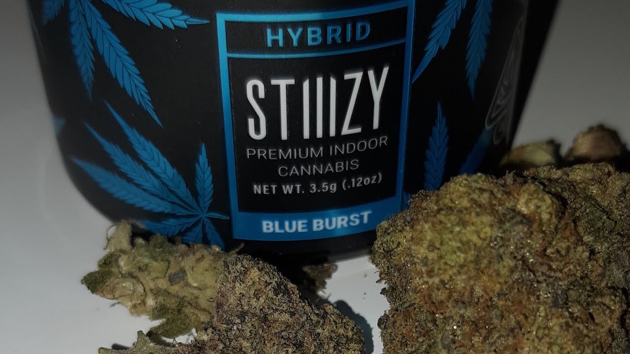 strain review stiiizy blue burst YouTube
