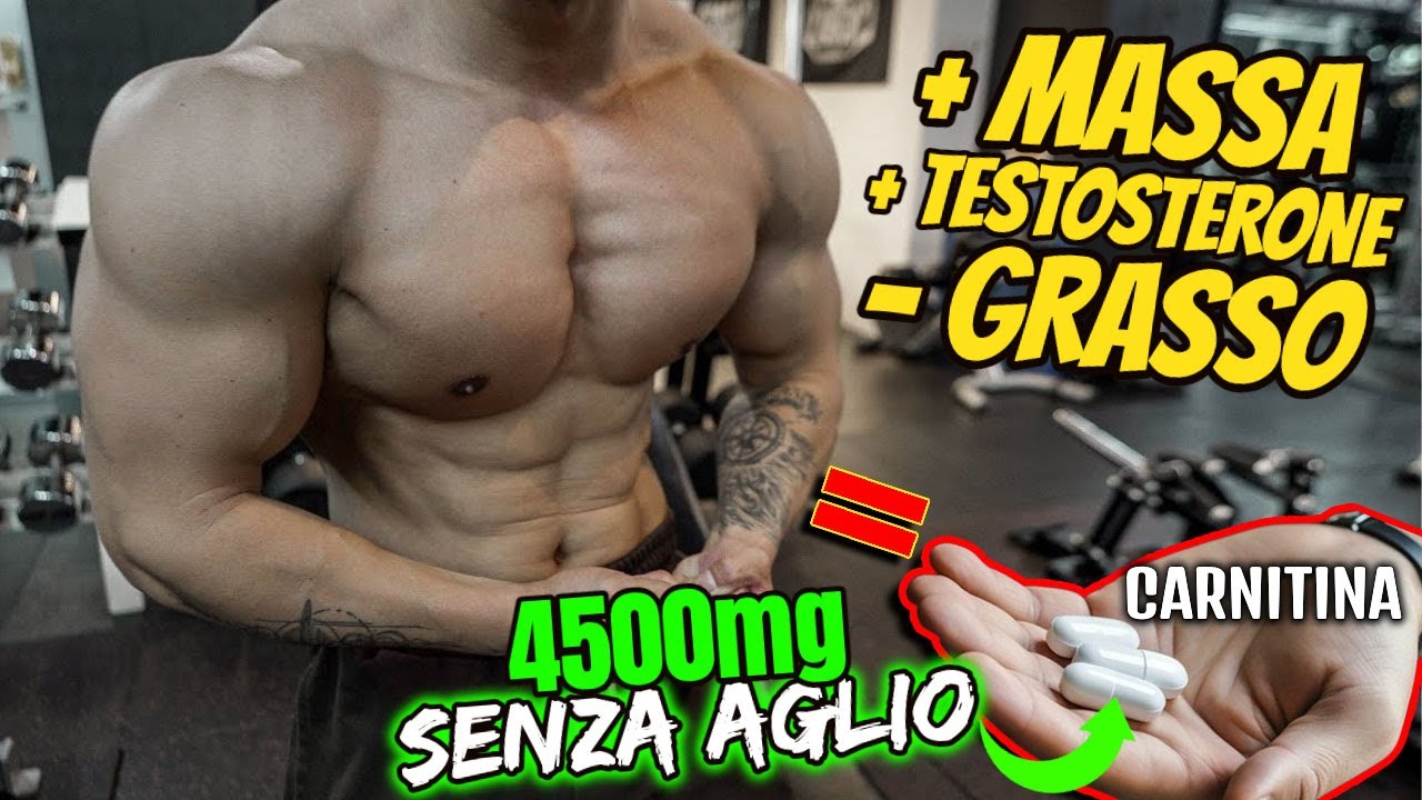 l-carnitine vs l-carnitine fumarate Acetyl L-Carnitine vs L-Carnitine: 4 Key Differences  Momentous